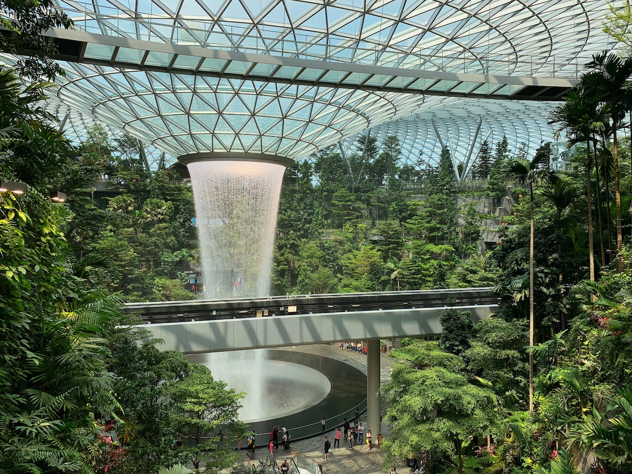 Singapore's Entrepreneurial Renaissance: Nurturing Innovation and Growth