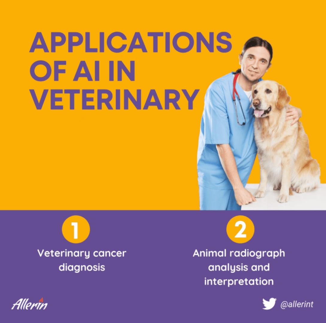 What Are The Applications of Artificial Intelligence in Veterinary Medicine?