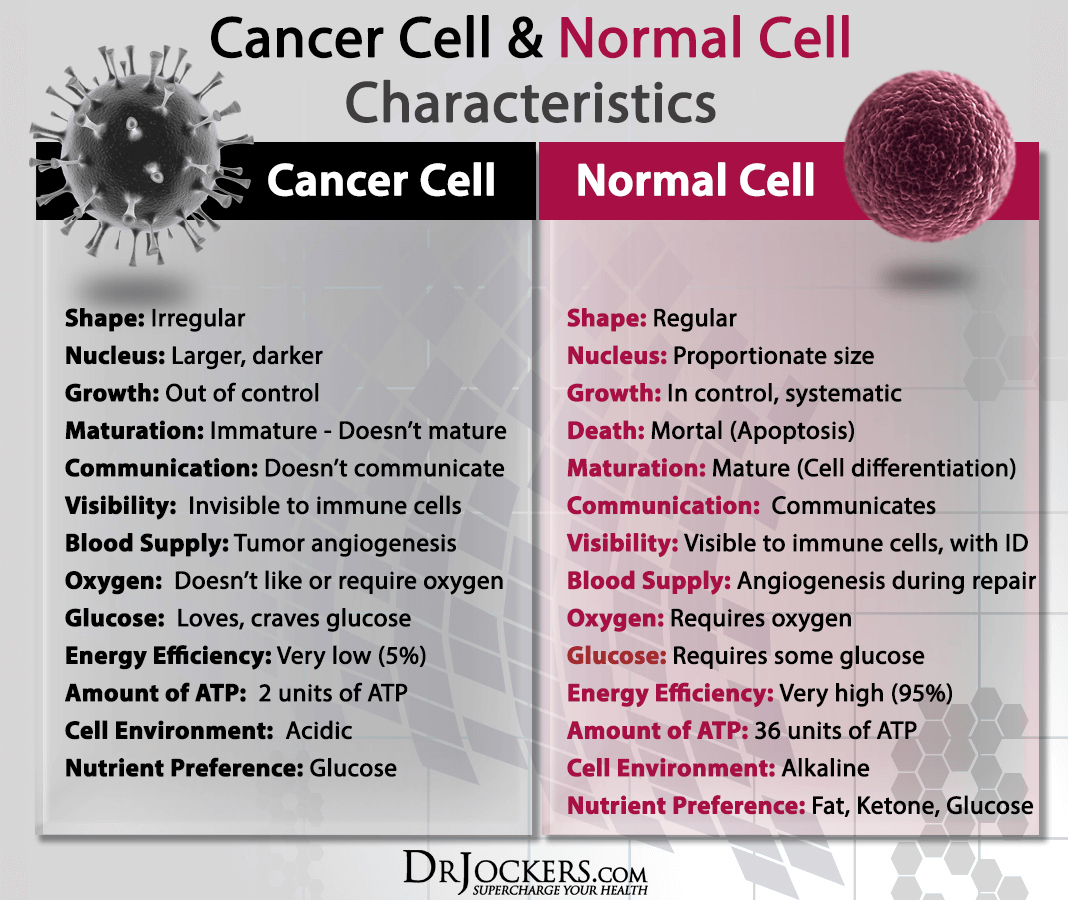 CANCERCELLS_Normal-and-Cancer-Cell-Characteristics19.png
