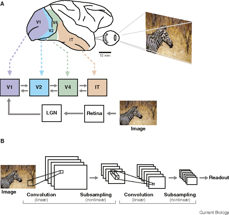 Challenges_and_Ethical_Considerations_of_AI_in_Neuroscience.png