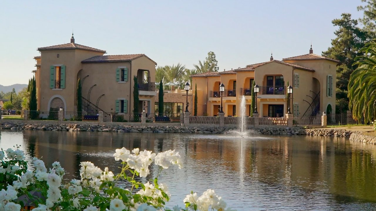 Bail Bonds Companies in Westlake Village CA