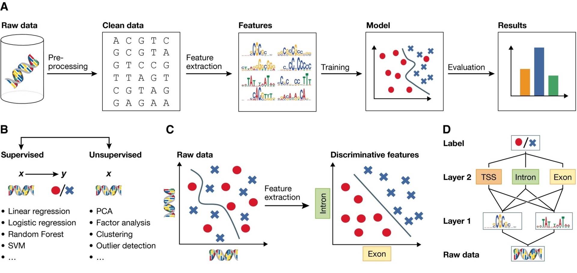 Deep_Learning_in_Biology.jpg