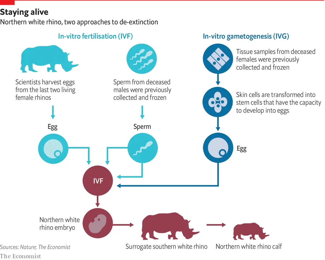 Ethics_and_Implications_of_De-Extinction.jpg