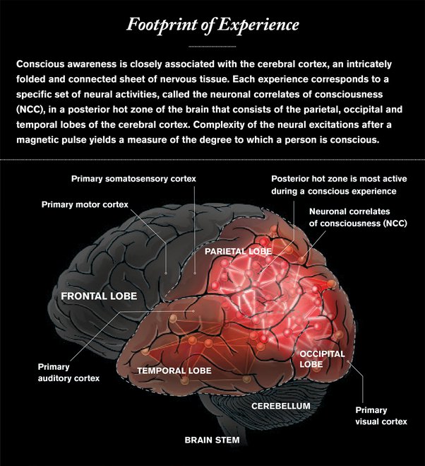 Footprint_of_Experience.jpeg