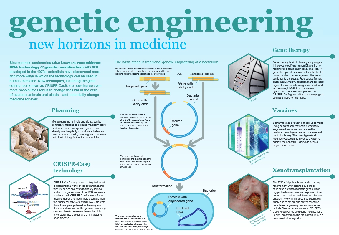 Genetic_Engineering_Explained.jpg