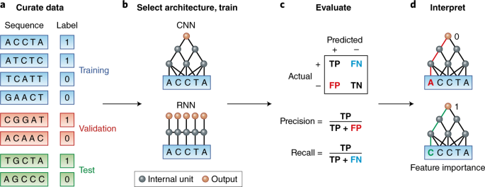 Genomics_Through_Deep_Learning.png