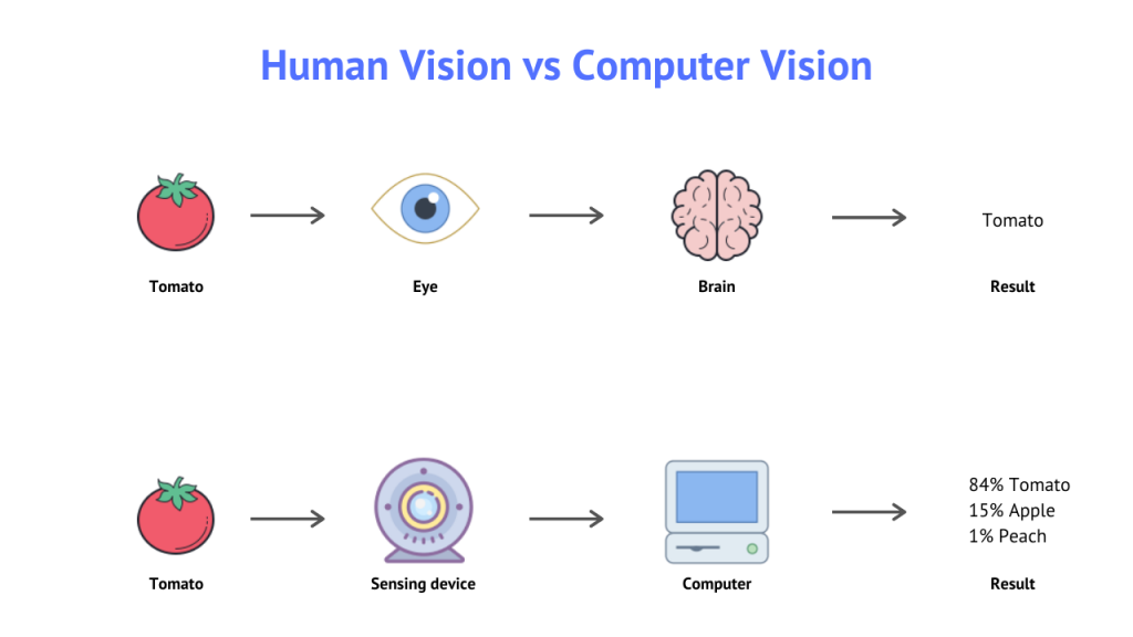 Human-Vision-vs-Computer-vision-1024x576.png