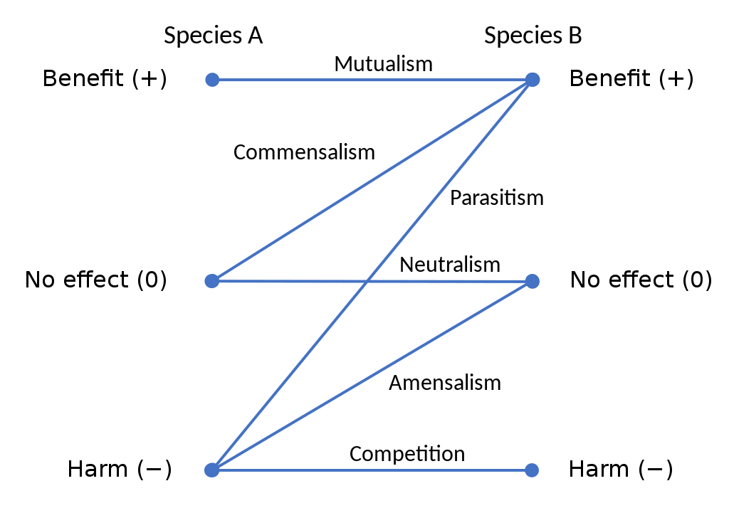 Human_AI_Symbiosis.png