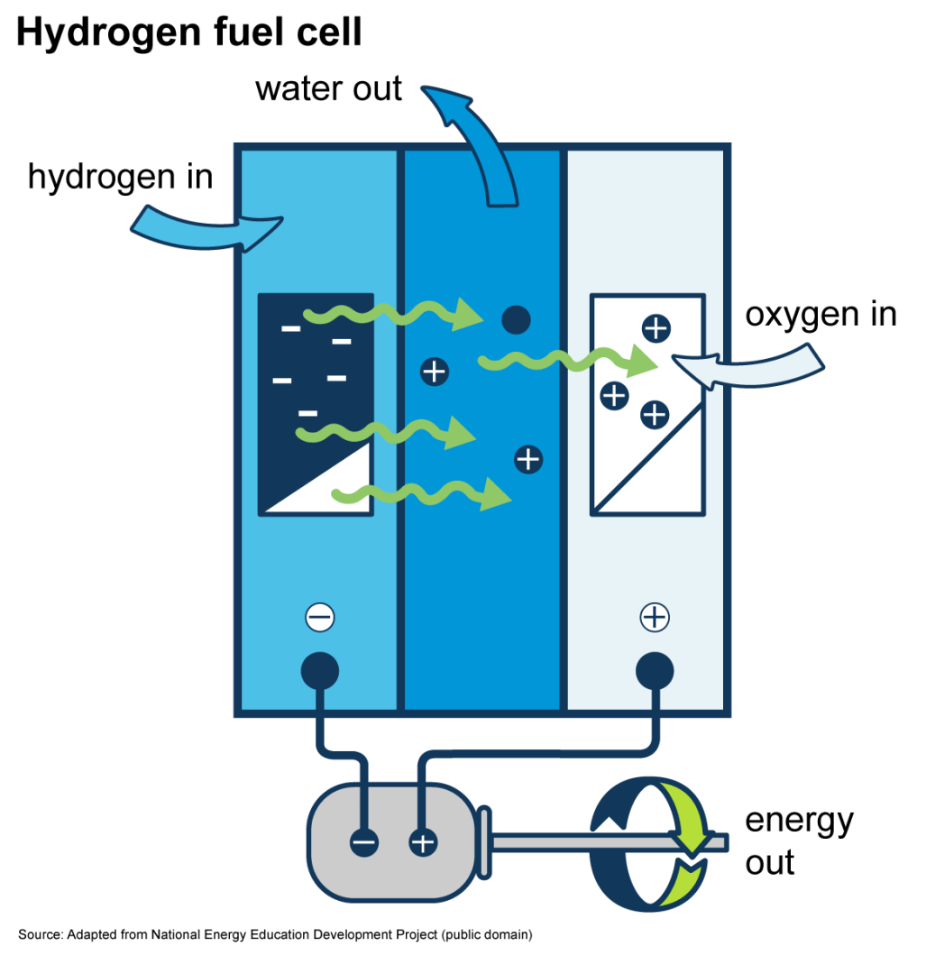 Hydrogenfuelcell.png