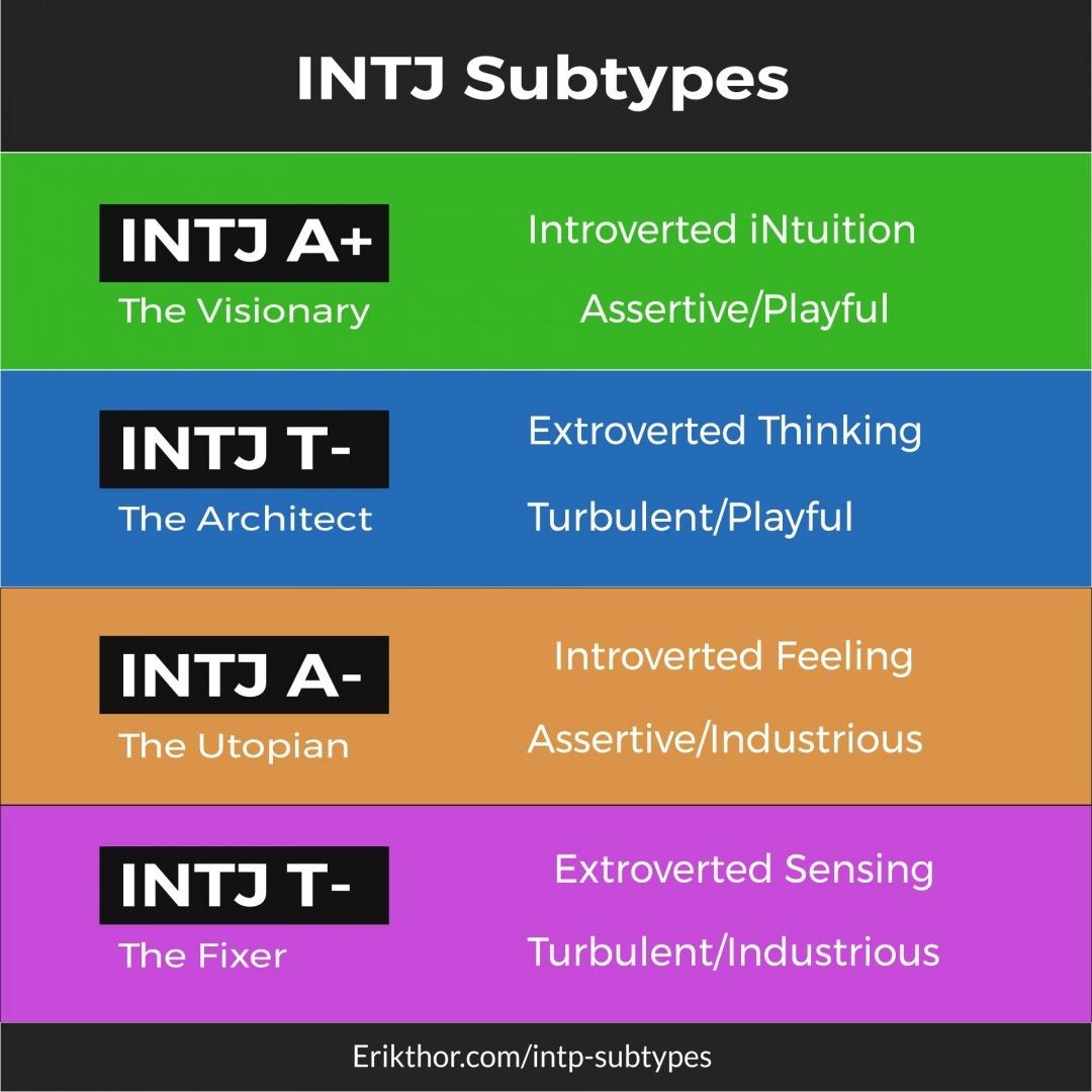 INTJs: How to develop your Se function – The Book Addict's Guide