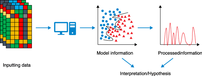 Limitations_and_Challenges_in_Implementing_Deep_Learning_in_Biology.png