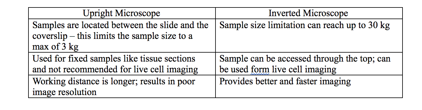 Main_Differences_Between_Inverted_And_Upright_Microscopes.png