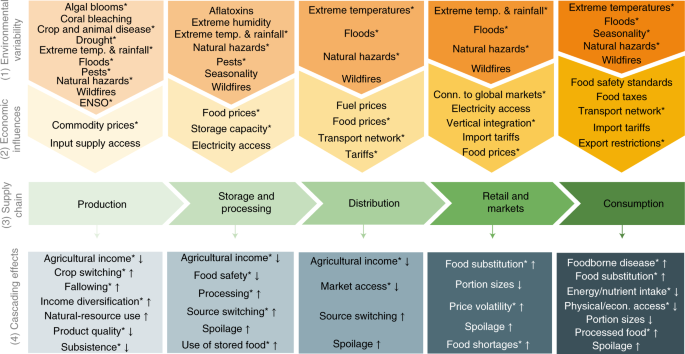 Solutions_for_Improving_the_UKs_Food_Supply_Chain.png