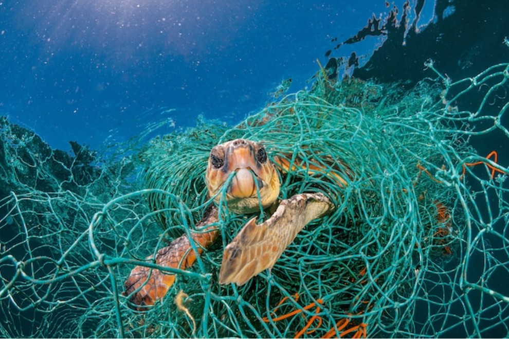 The_Impact_of_Plastic_Waste_on_Marine_Ecosystems.jpg