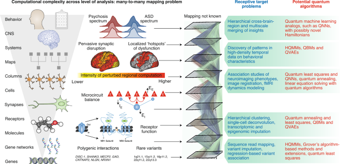 The_Neuroscience_of_Quantum_Computing_Explained.png