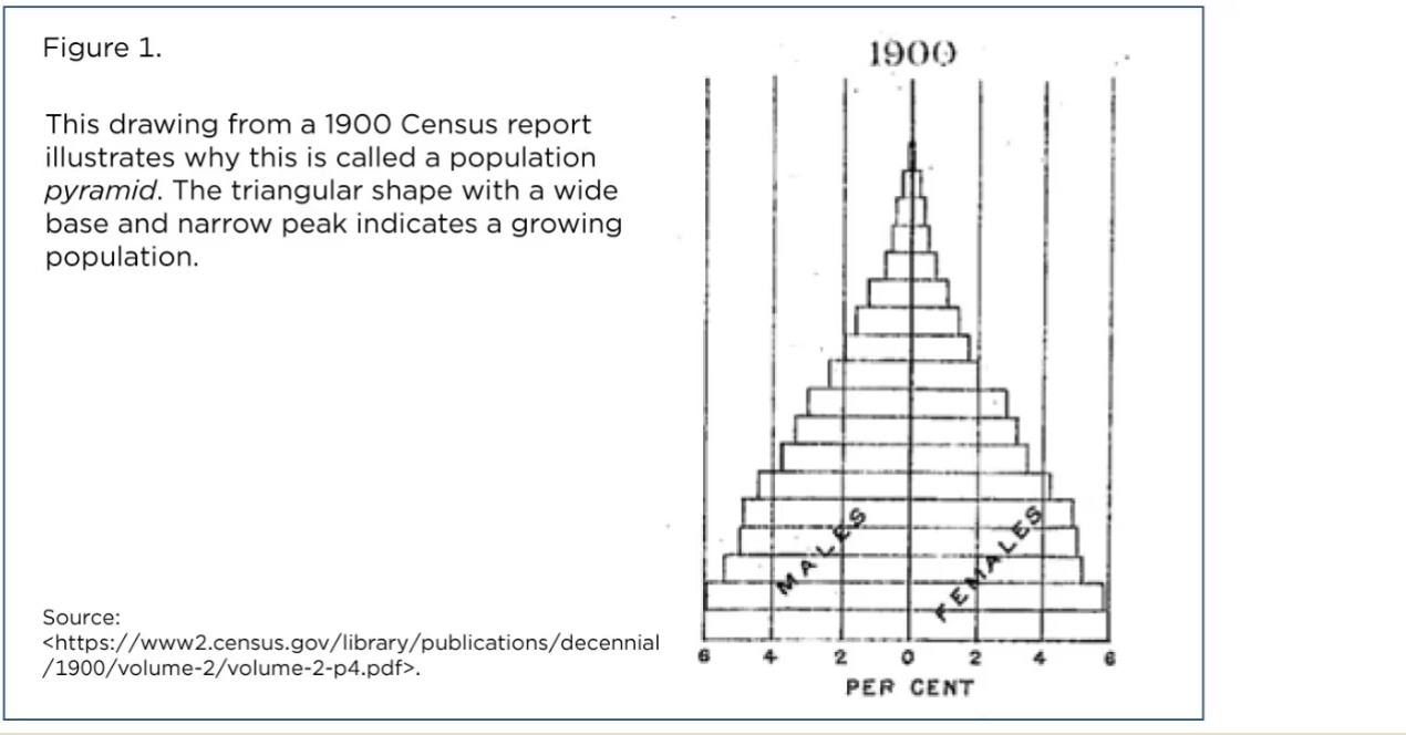 US_Population_Pyramids_1900.png