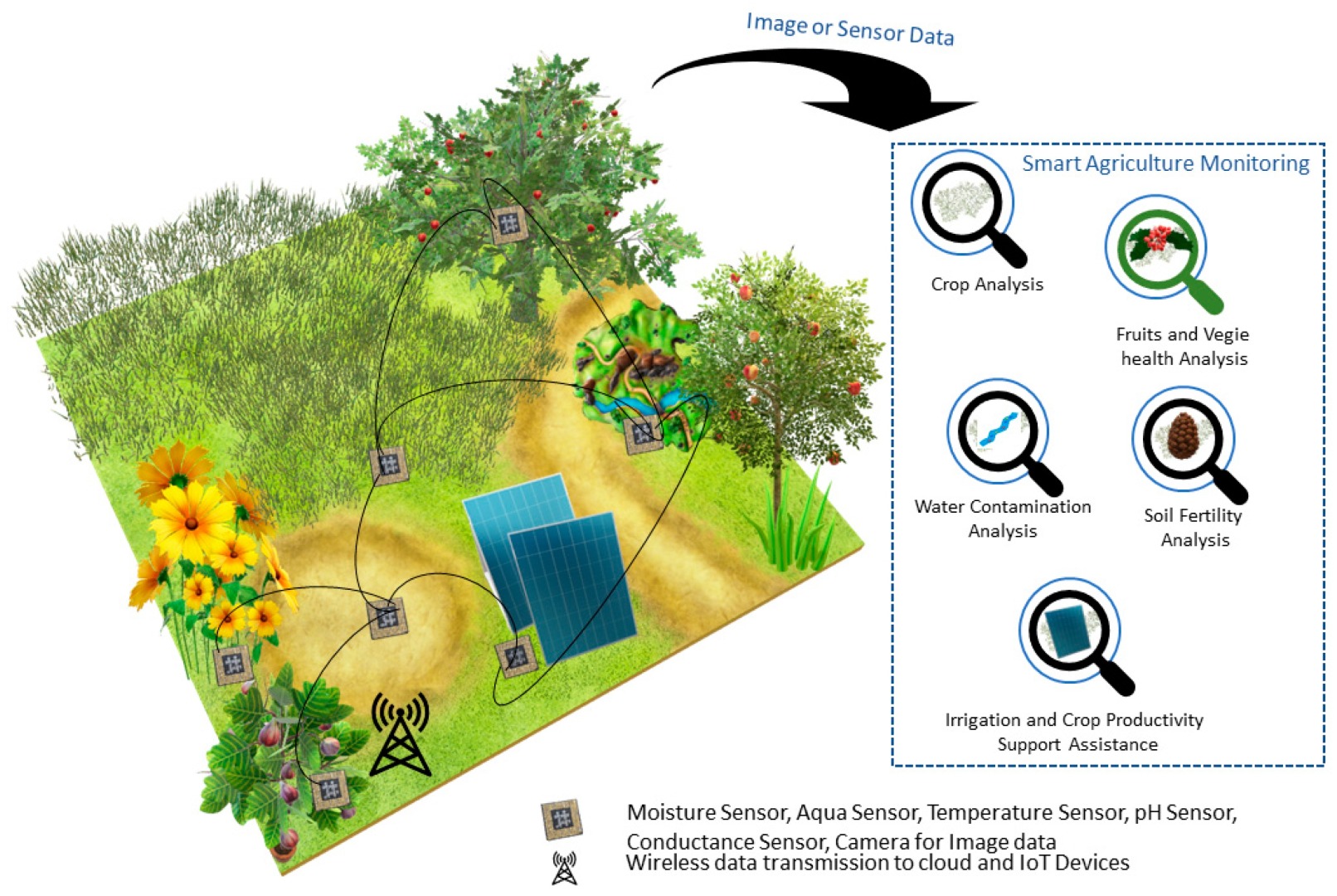 Use_Cases_of_Machine_Learning_For_Environmental_Monitoring_and_Management.jpg