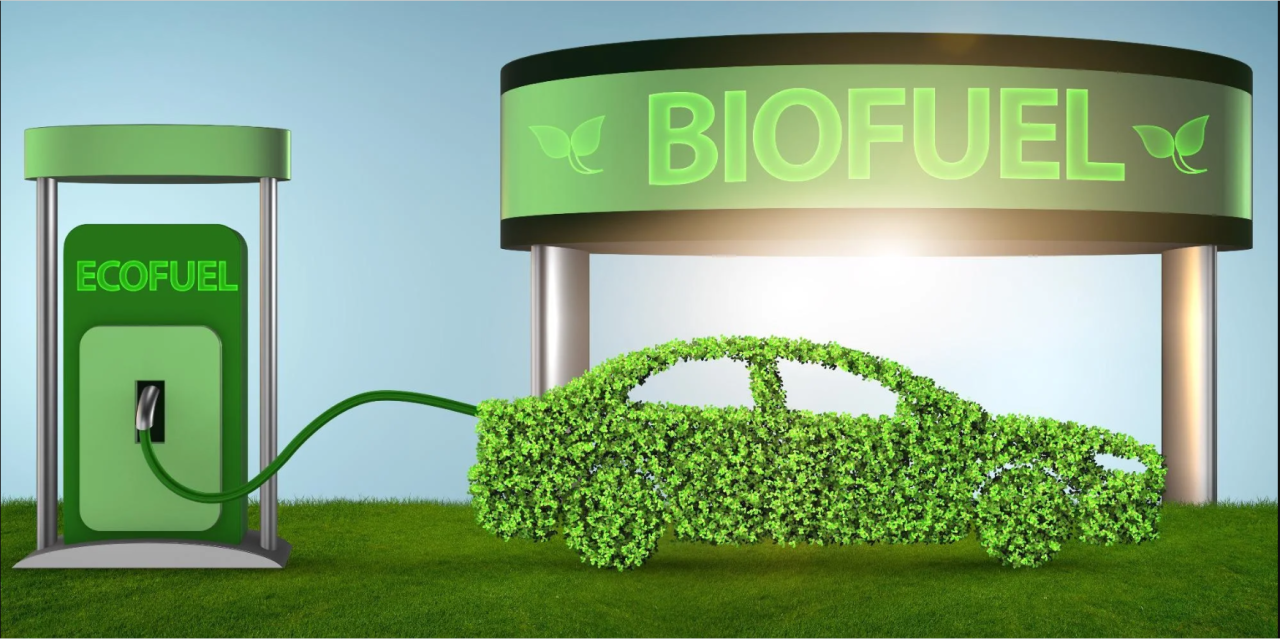 What_Are_the_Possible_Downsides_of_Biofuels_for_Transport.png