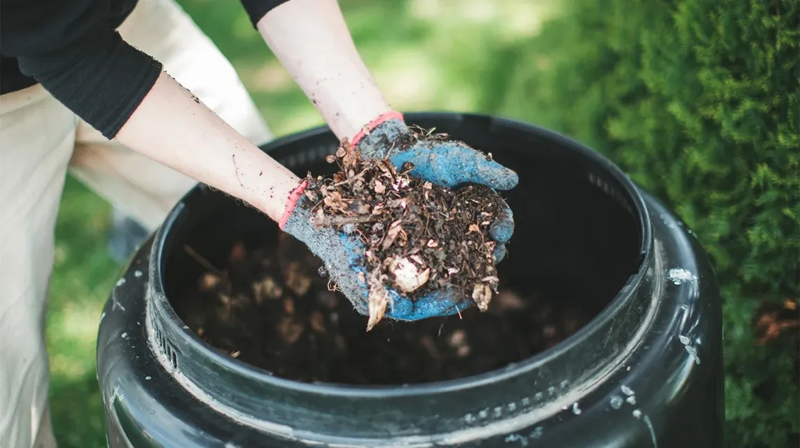 Starting A Compost Bin: A How-To Guide – Forbes Home