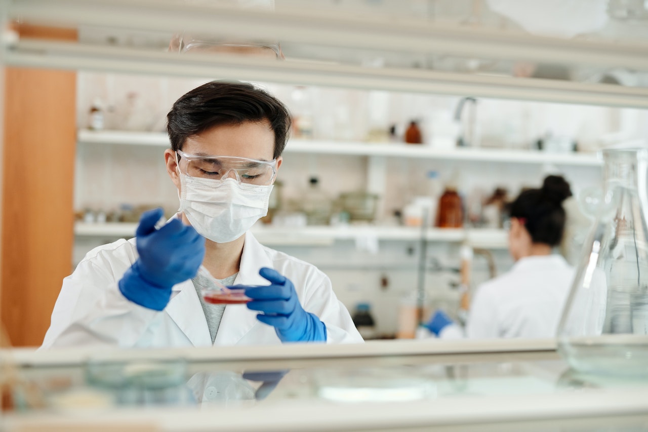 How SDTM Contributes To Business Intelligence In Healthcare How SDTM Contributes To Business Intelligence In Healthcare