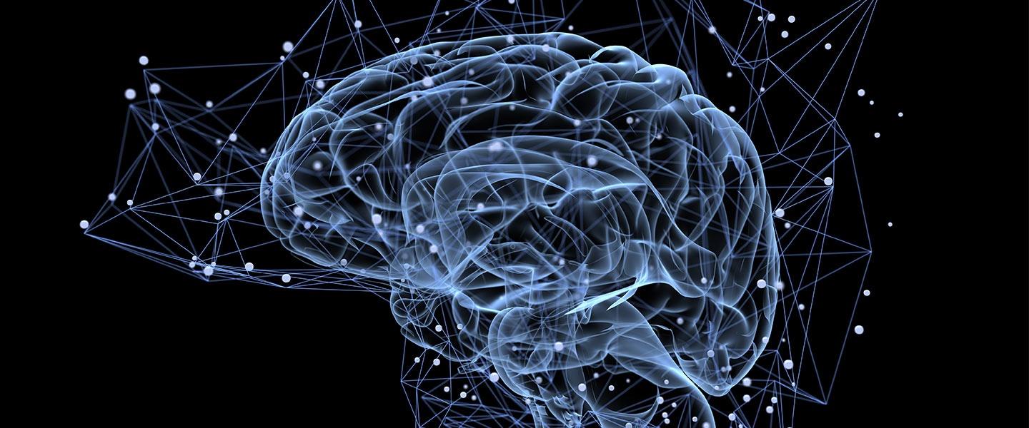 Behavioral Neuroscience: Thought-Memory Variations & Genetic Variability