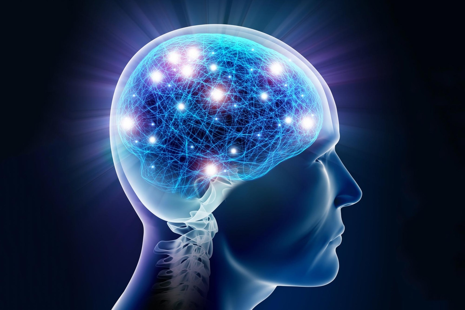 Neuroscience: Brain Architecture of Consciousness