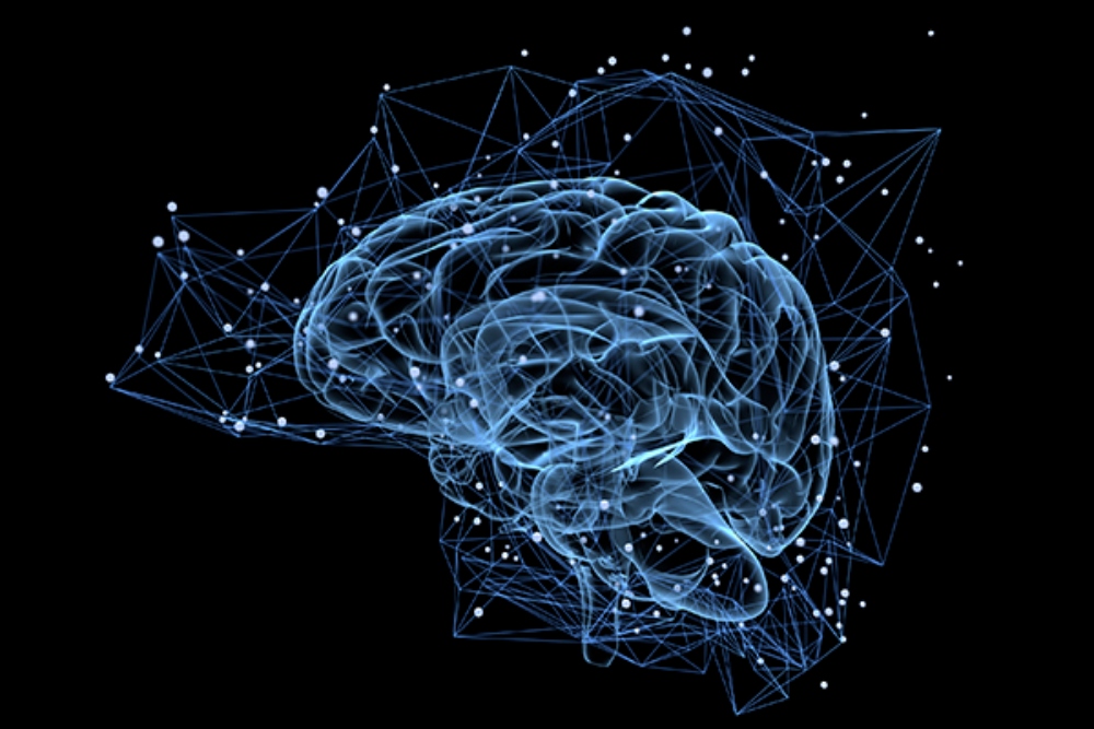 Brain Science: Can IIT, Panpsychism Explain or Solve Mental Disorders?