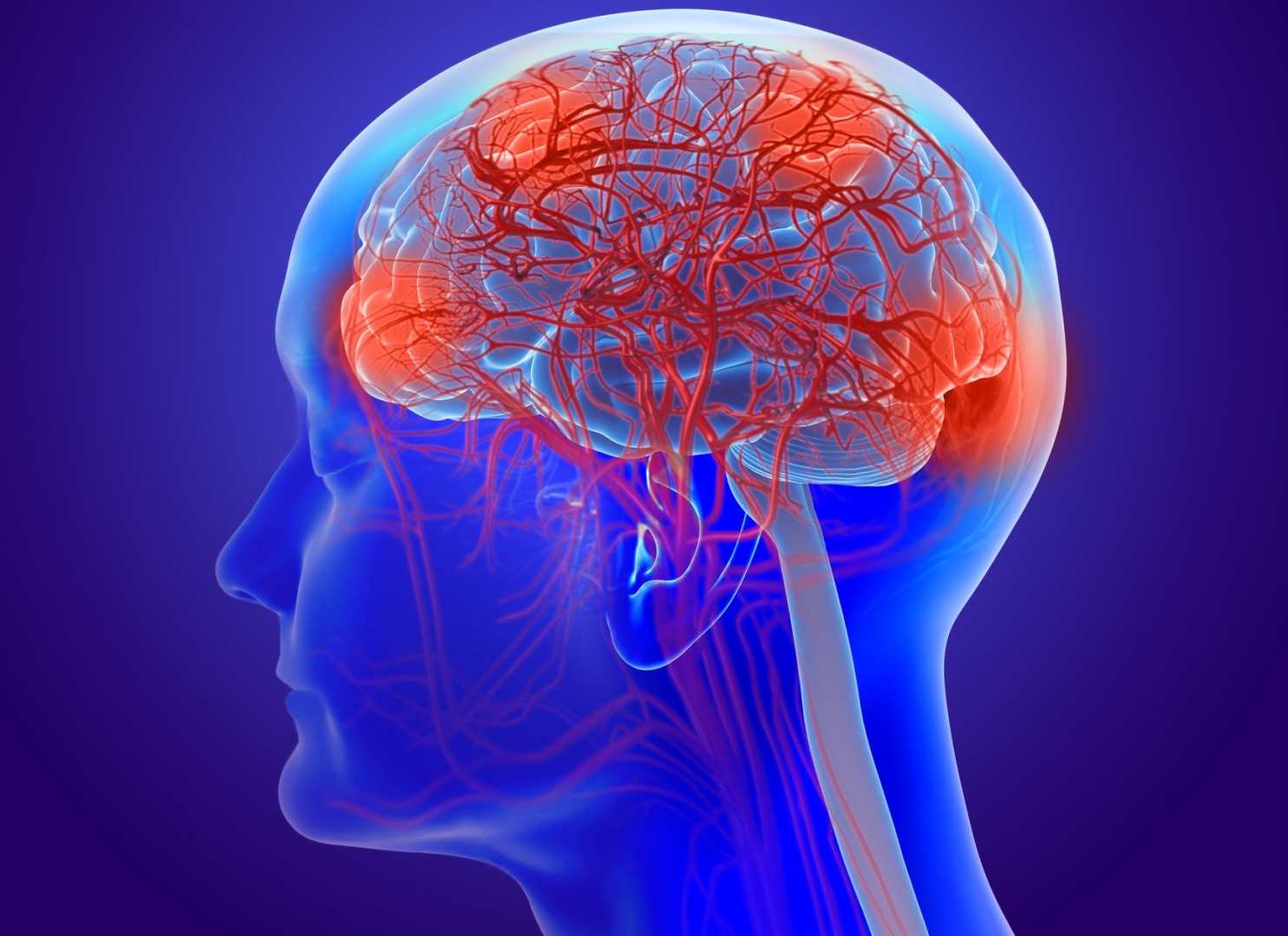 Brain Science: Memory Theory of Alzheimer, Neurodegeneration & Aβ