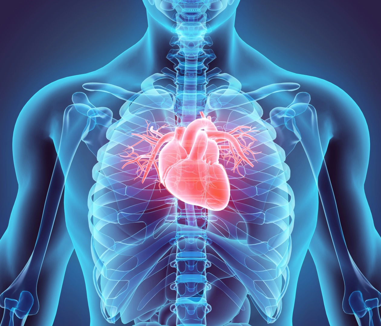 Cardiac Ejection Fraction Determined By Artificial Intelligence
