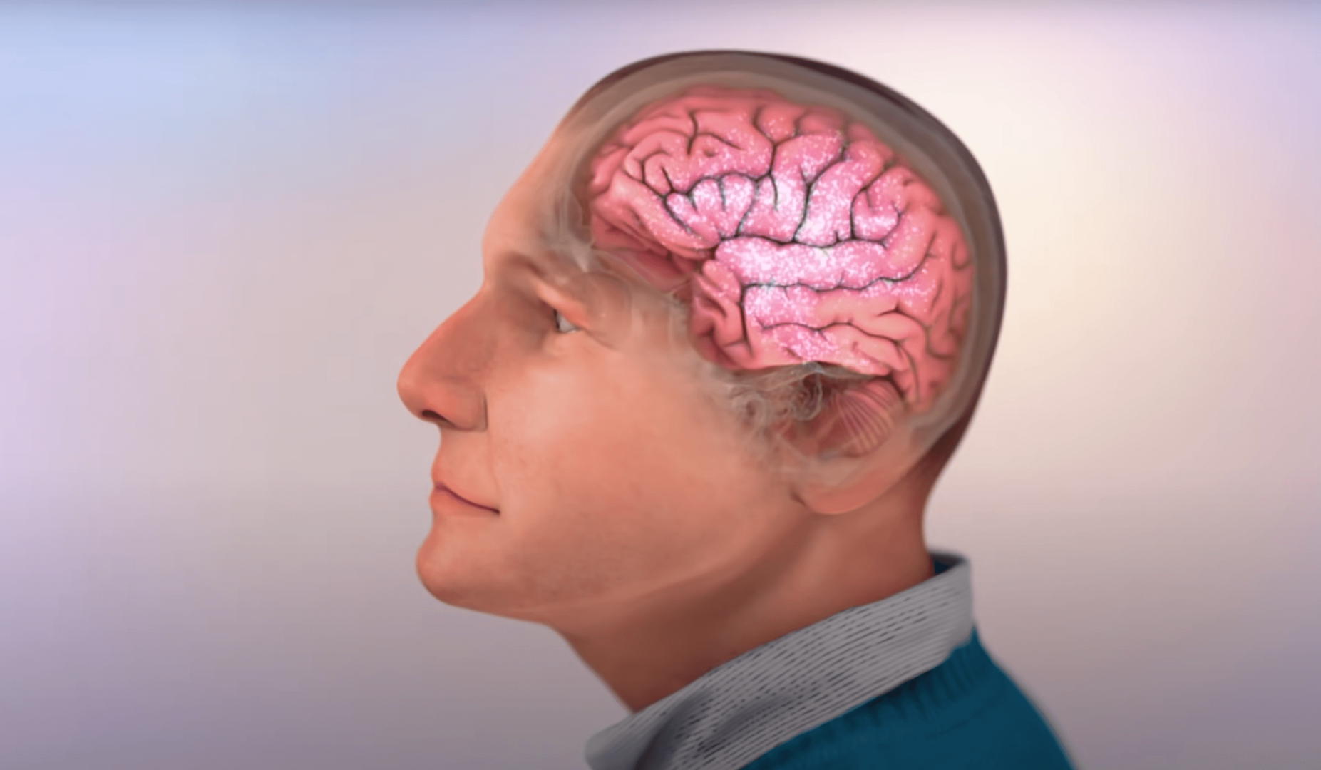 Neuroplasticity: Cognitive Model of Neurodegeneration and Alzheimer’s