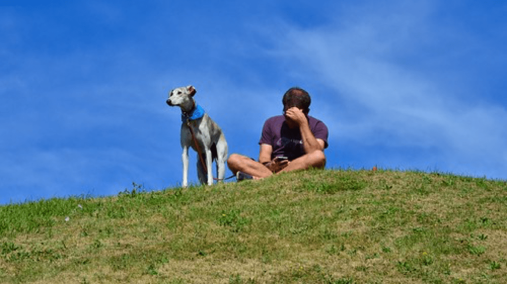 Dog and His Owner