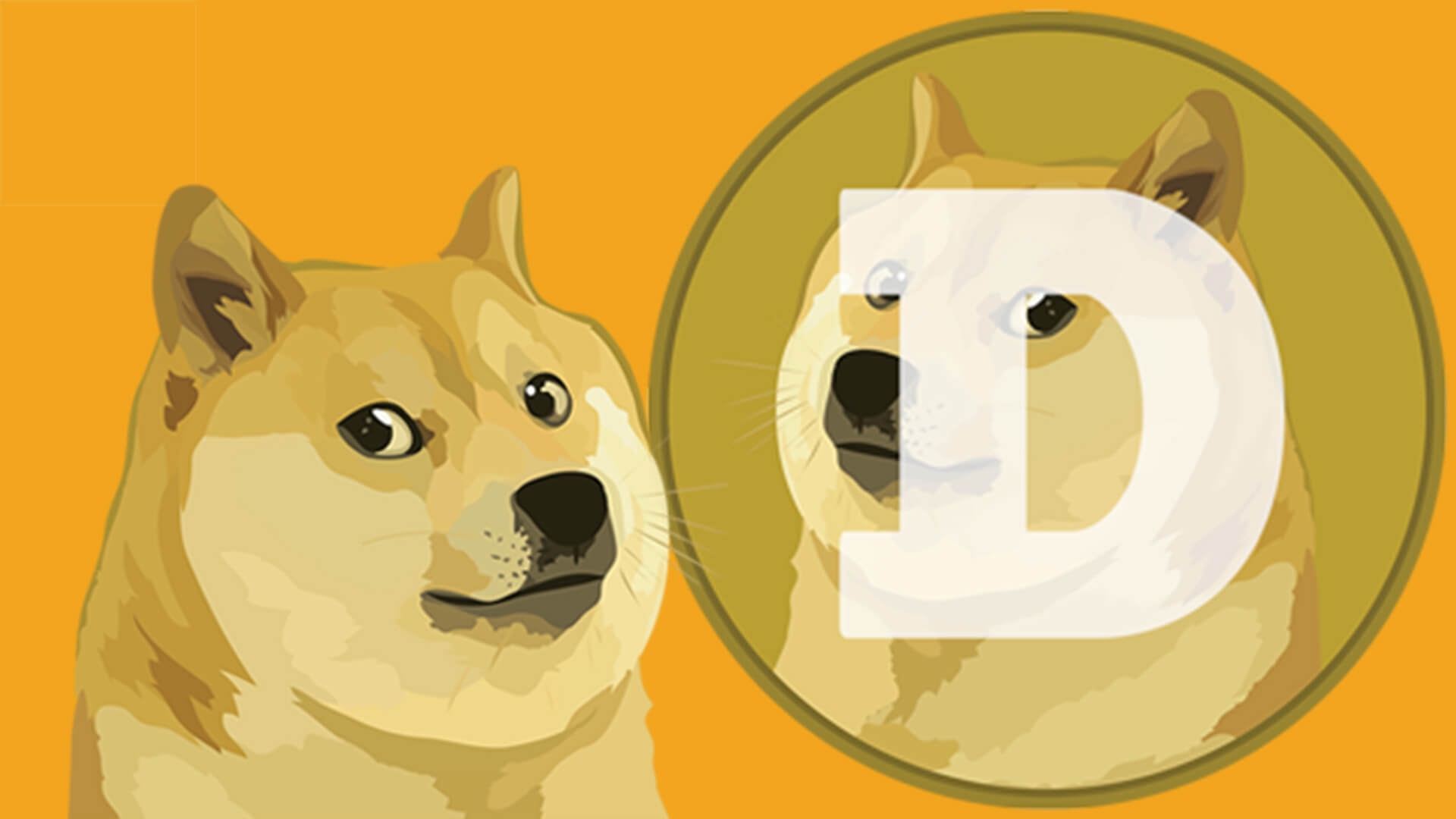 Dogecoin Worth