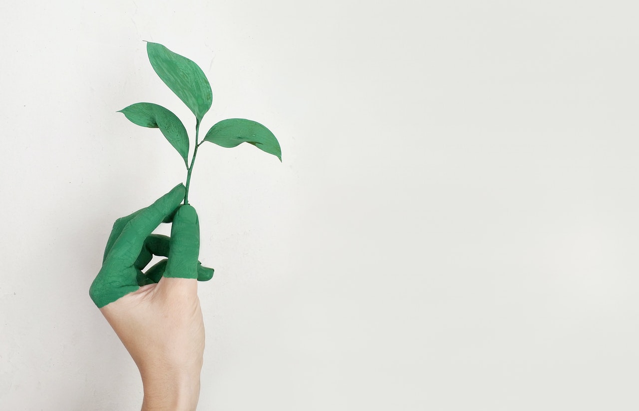 Useful Ideas On How To Build An Eco-friendly Business