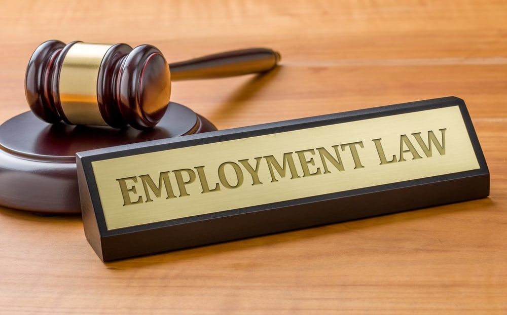 Employment Law: A Brief Guide for Small Business Owners
