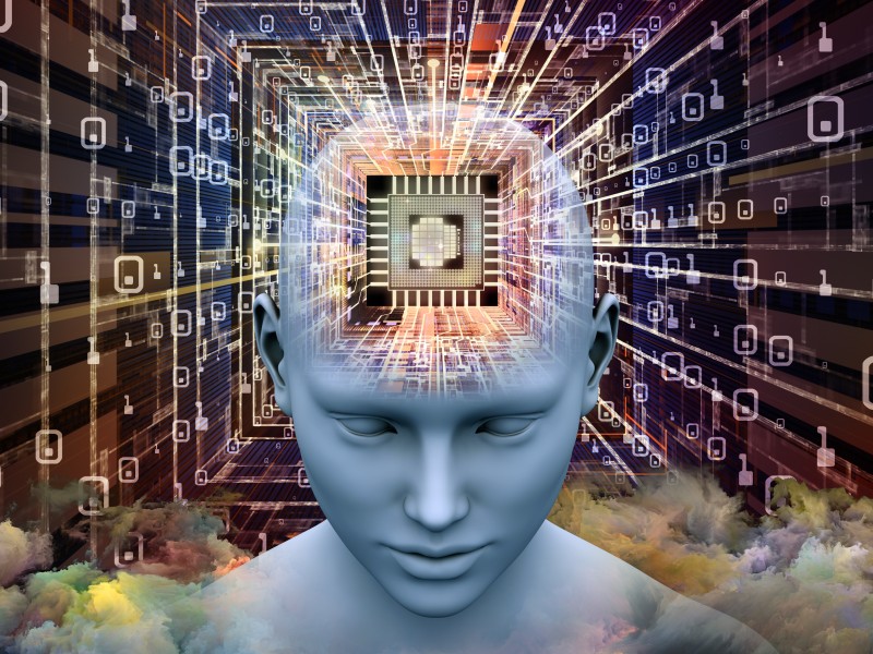 Envisioning A Hybrid Augmented Intelligence For The Meta & Omni-Human