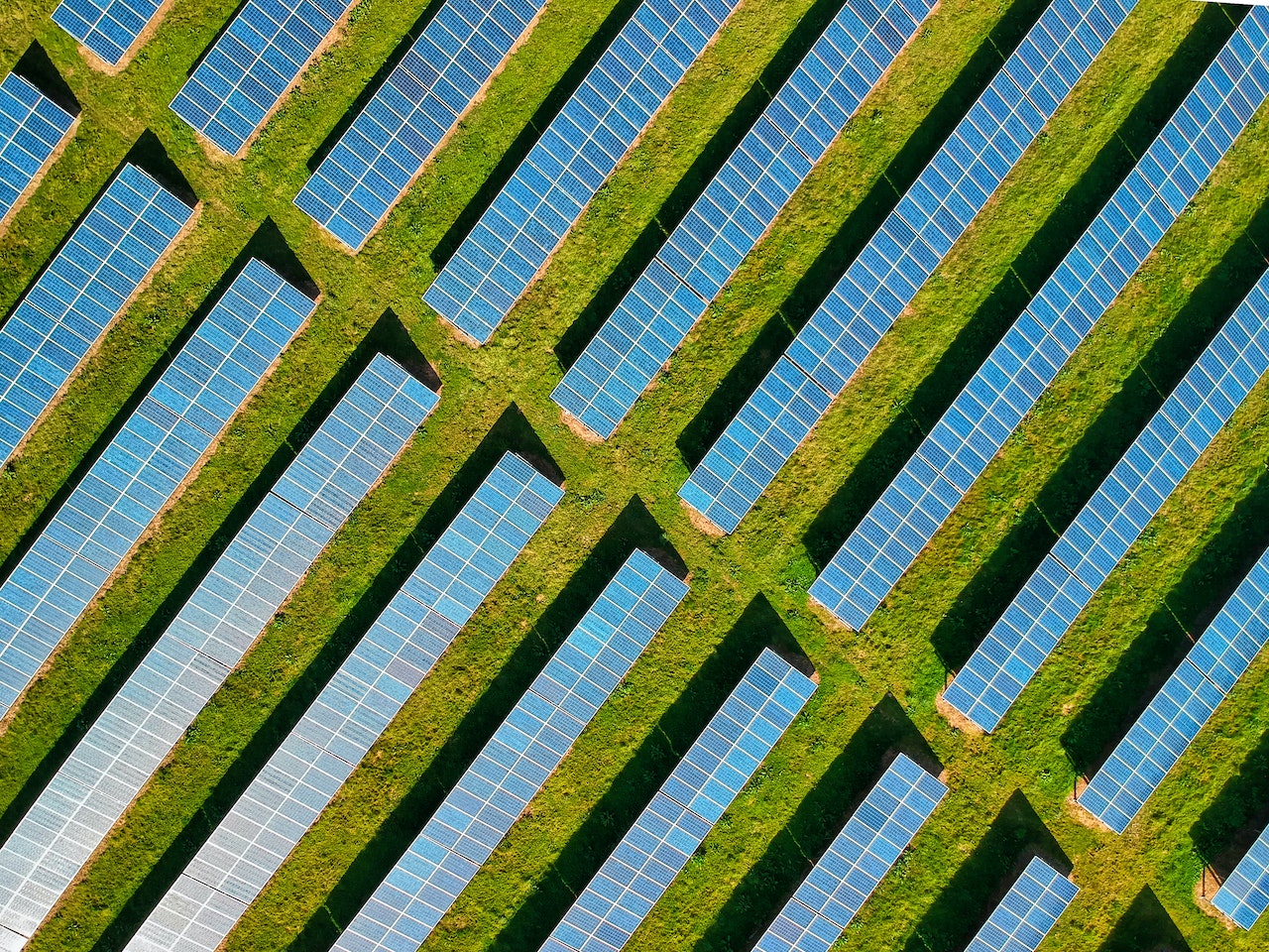 Ever Wonder How Solar Panels Harness the Power of the Sun?