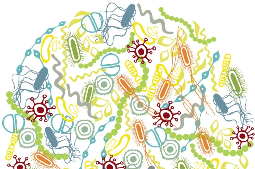 The Role of Microbes in Human Health: Exploring the Microbiome