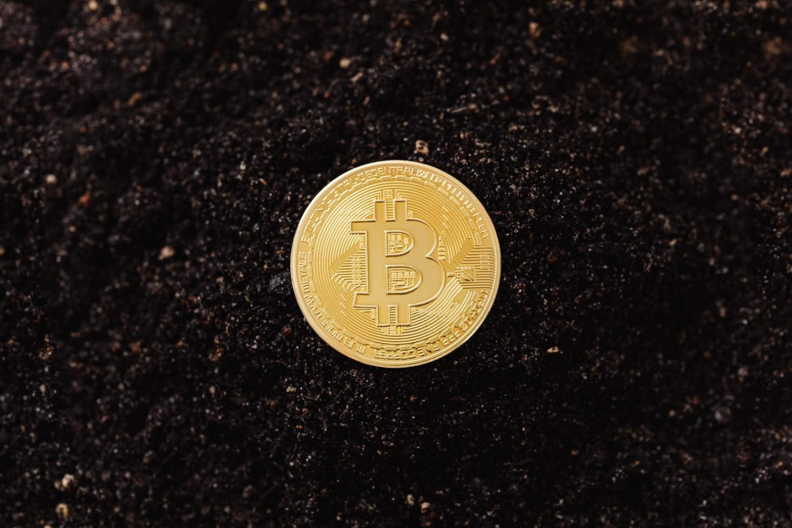Forget a Digital Dollar, Bank on Bitcoin