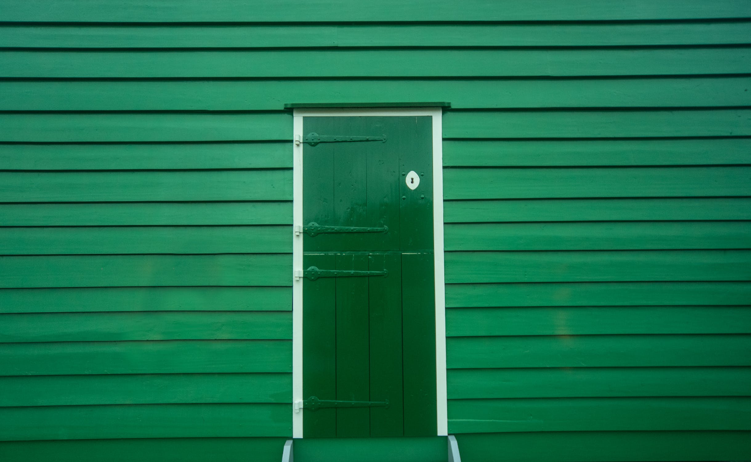 What Can Green Start-ups Learn from Big Corporates?