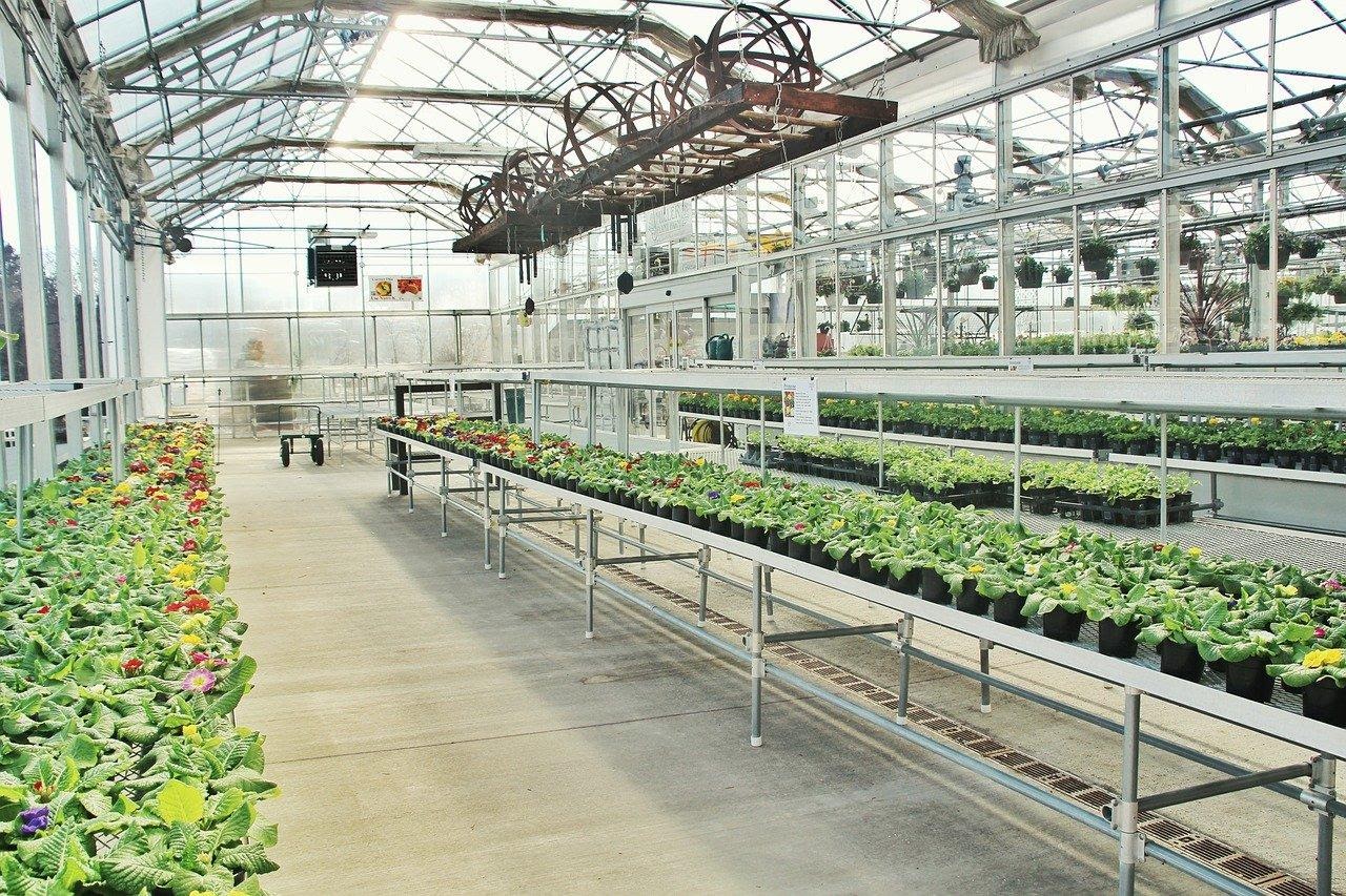 Distinguishing the Various Types of Greenhouses 