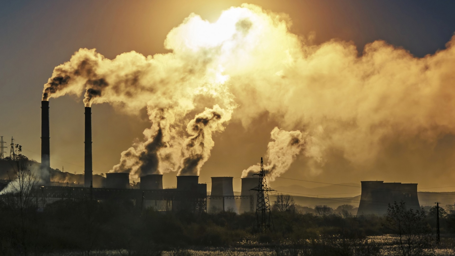Greenhouse Gas Levels Hit Record High Amid Covid-19 Pandemic