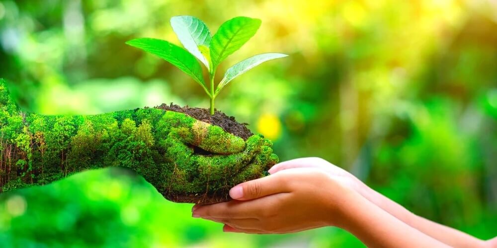 How Can Businesses Become More Eco-Friendly?