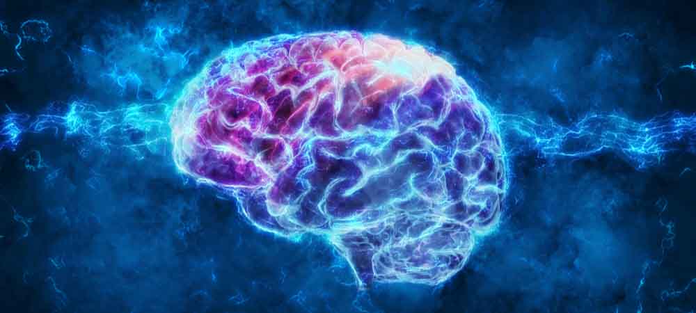 Neuroscience: How Does Neurotensin Determine Memory | Emotional Valence?