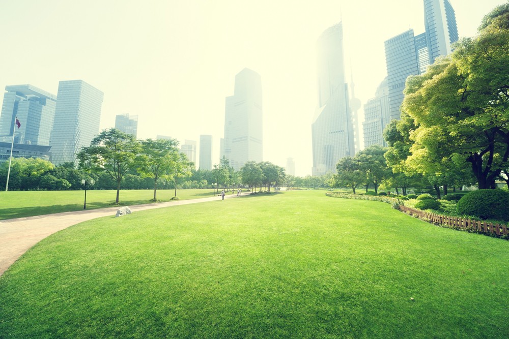 How 'Green IT'​ Can Make Smart Cities Sustainable