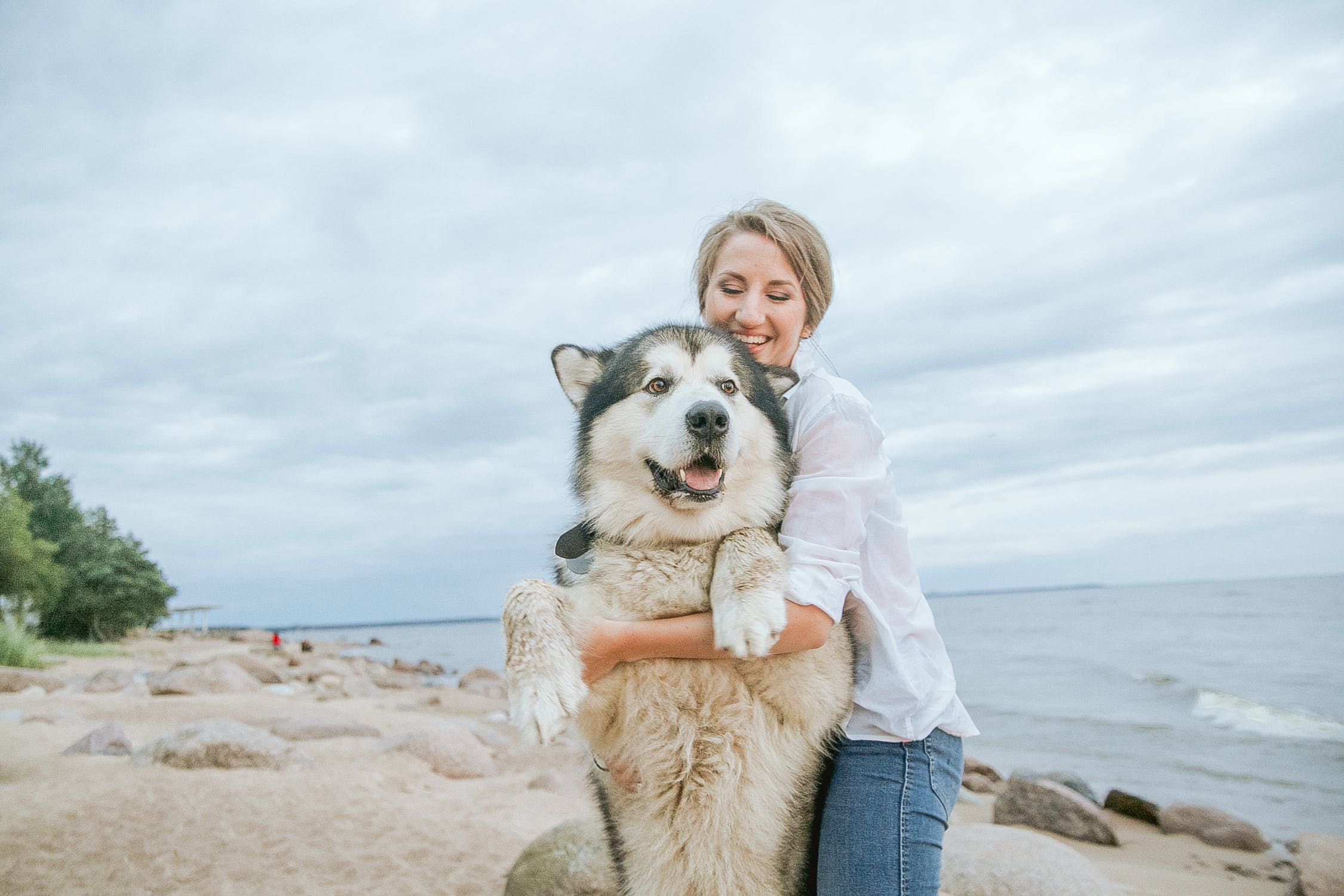 How To Easily Keep Your Beloved Dog As Healthy As Possible