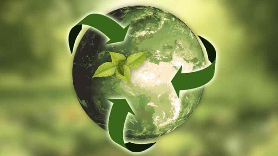 How to Use Technology to Decrease Your Environmental Footprint