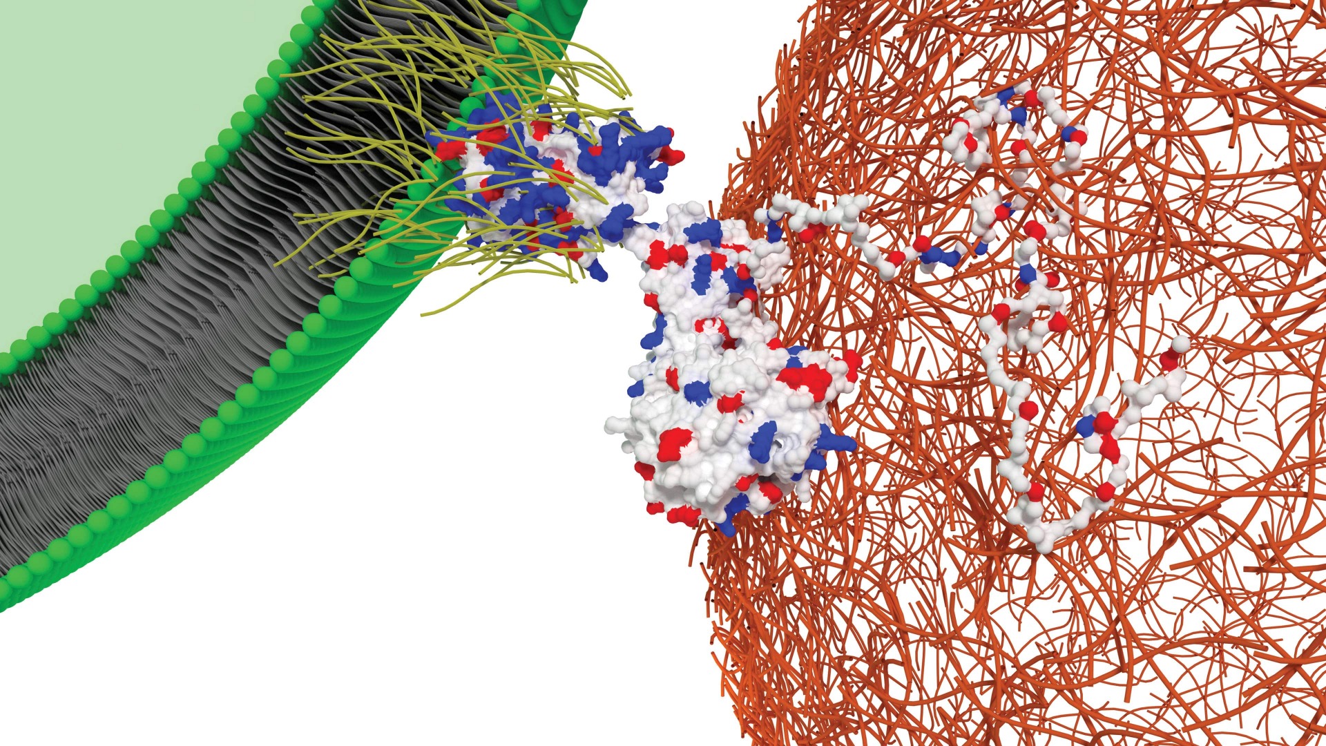 Implementing Artificial Intelligence in Synthetic Biology: Use Cases in Healthcare and Environmental Sustainability