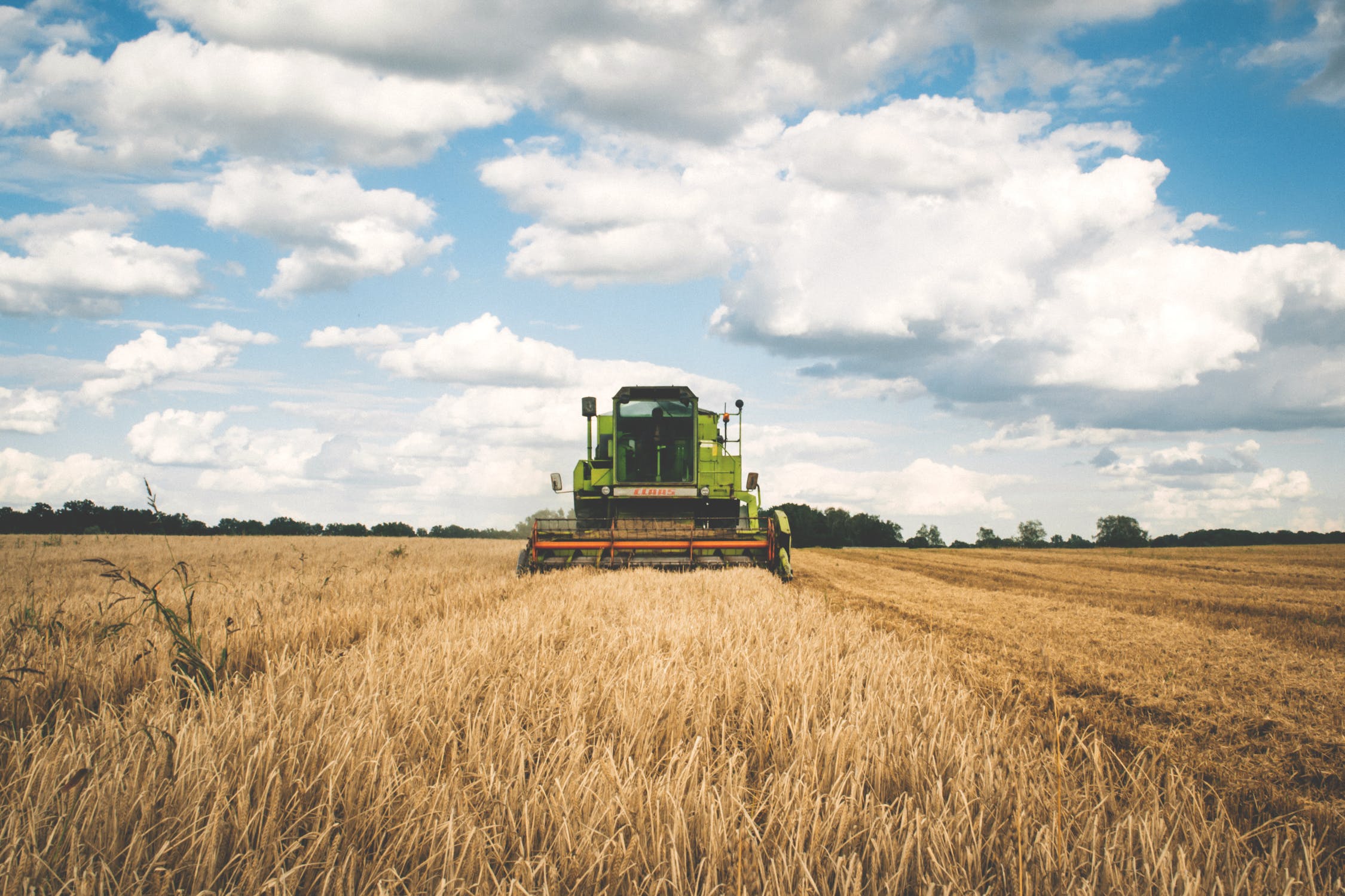 Leveraging The Power of Machine Vision in Agriculture