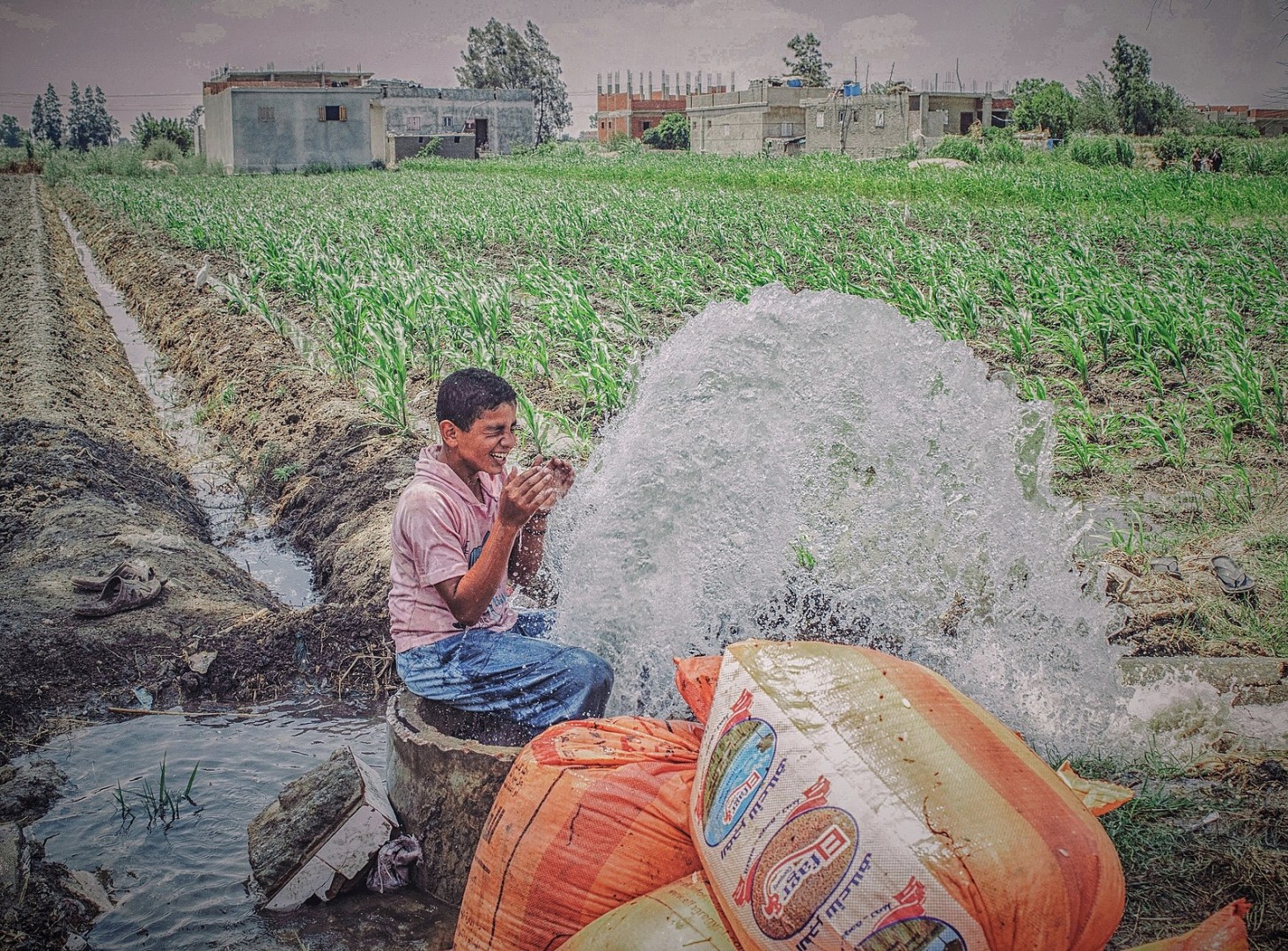 Global Food Crisis, Local Water Insecurity and Migrant Smuggling