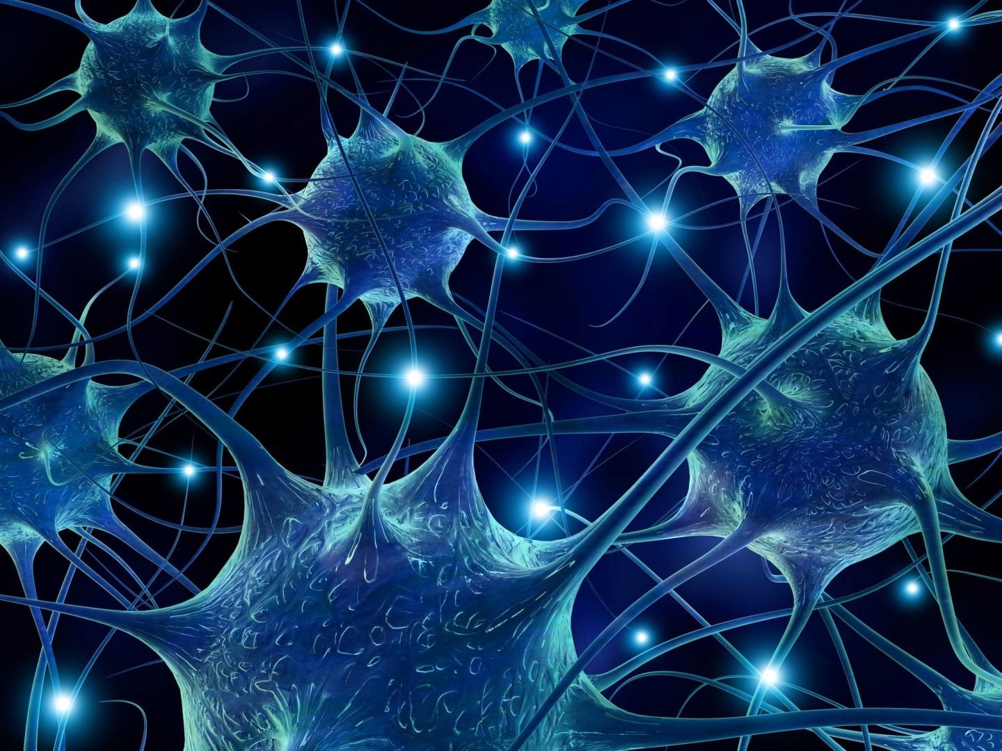 Neurobiology: Does Gyrification Define Consciousness, Mind-Body Problem?